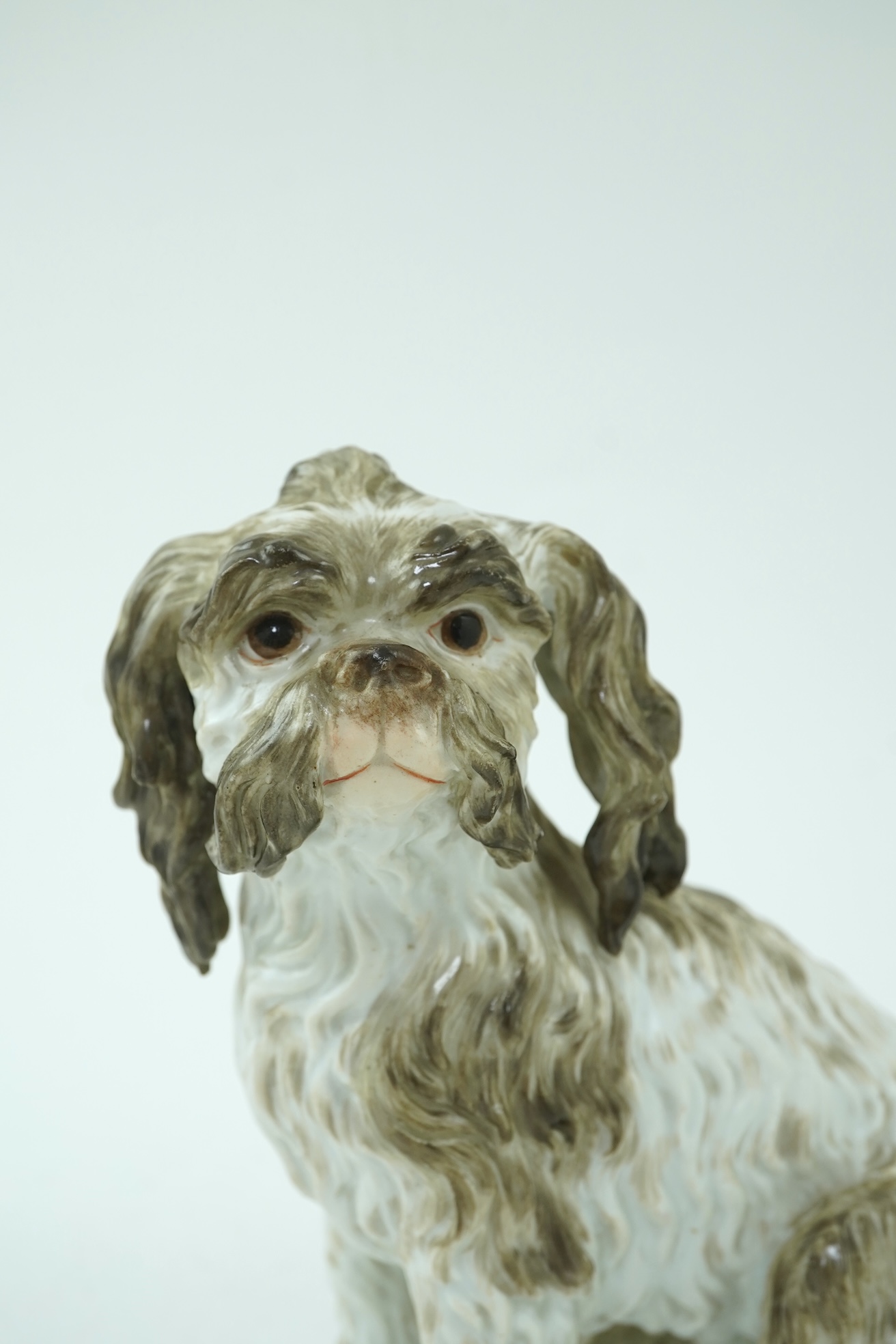 A Meissen figure of a seated Bolognese terrier, 19th century
